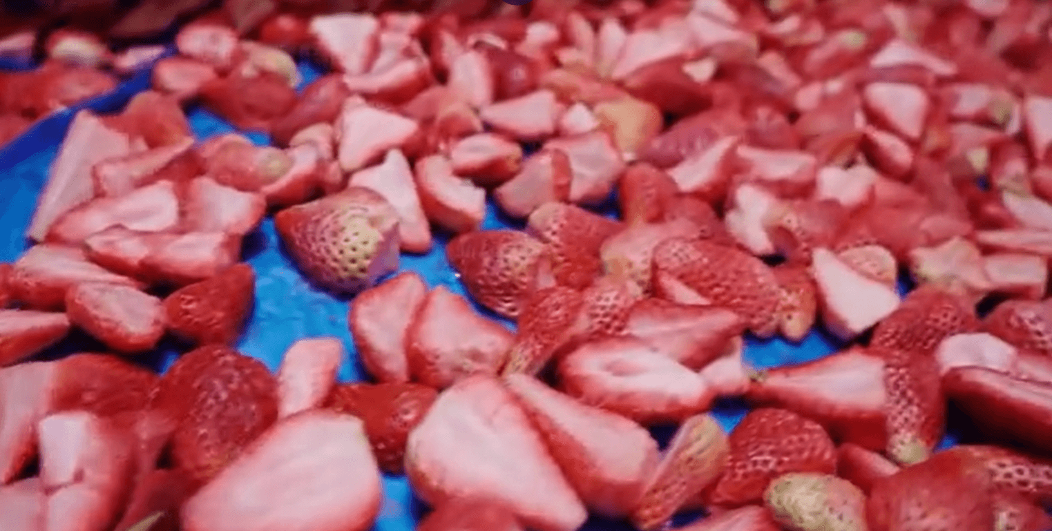 freeze dried strawberry strawberry washing machine