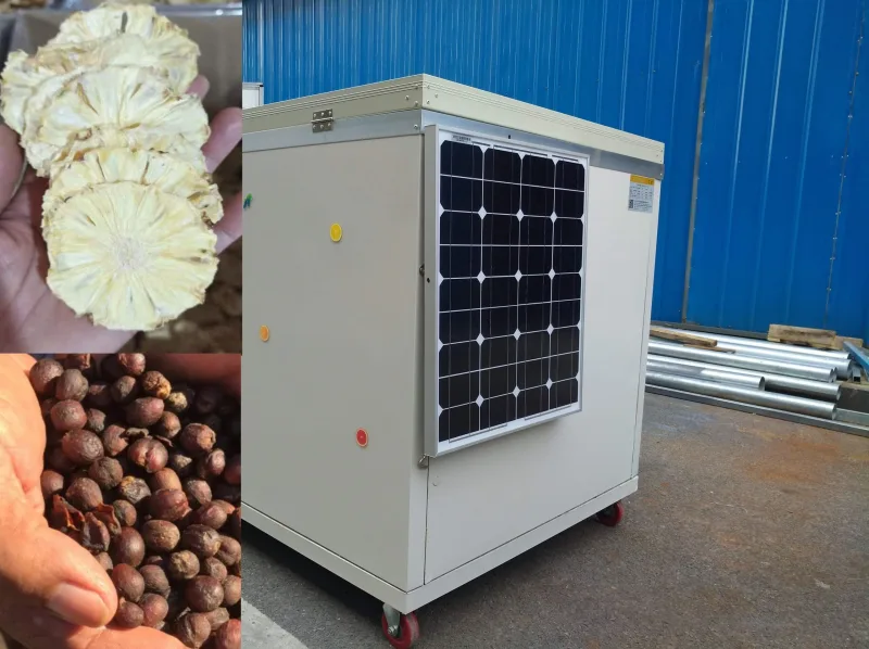 Get A Solar Dryer what Earns You Money