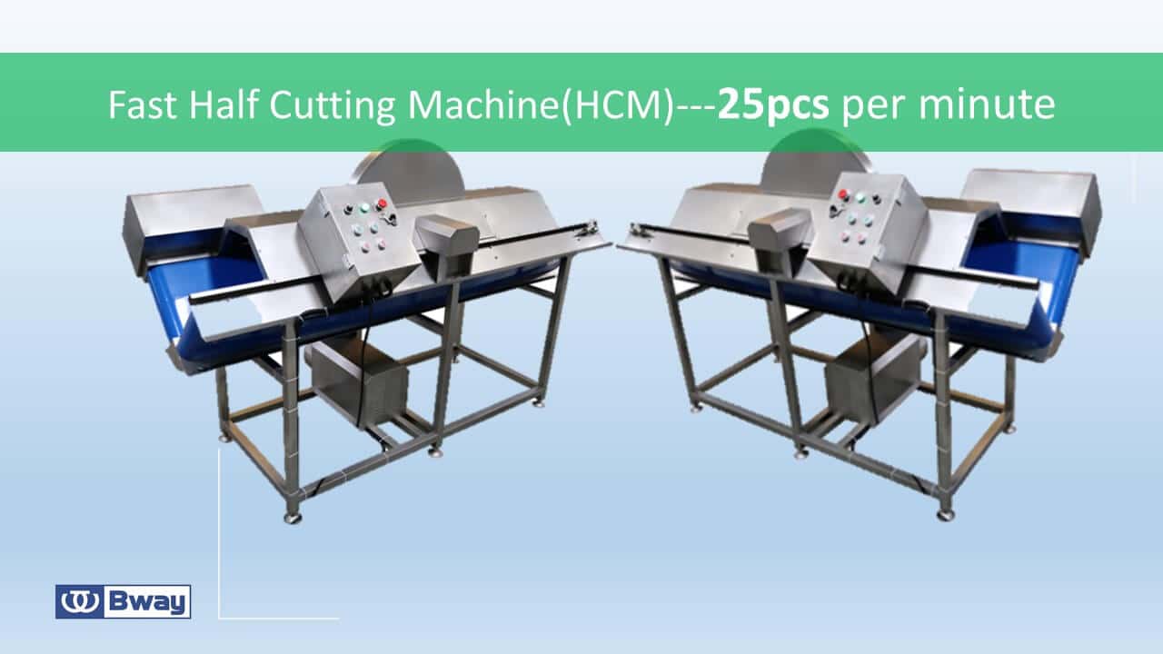 quash half cutting machine squash half cutting machine
