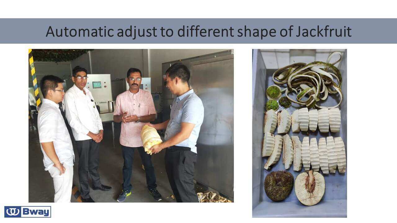 automatic jackfruit peeling machine automatic jackfruit peeling machine