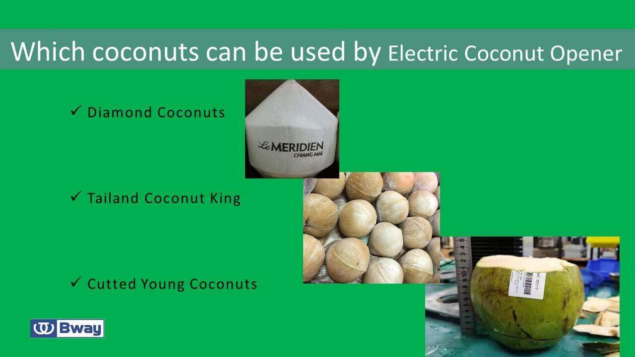 Which coconuts can be used by Electric Coconut Opener Which coconuts can be used by Electric Coconut Opener
