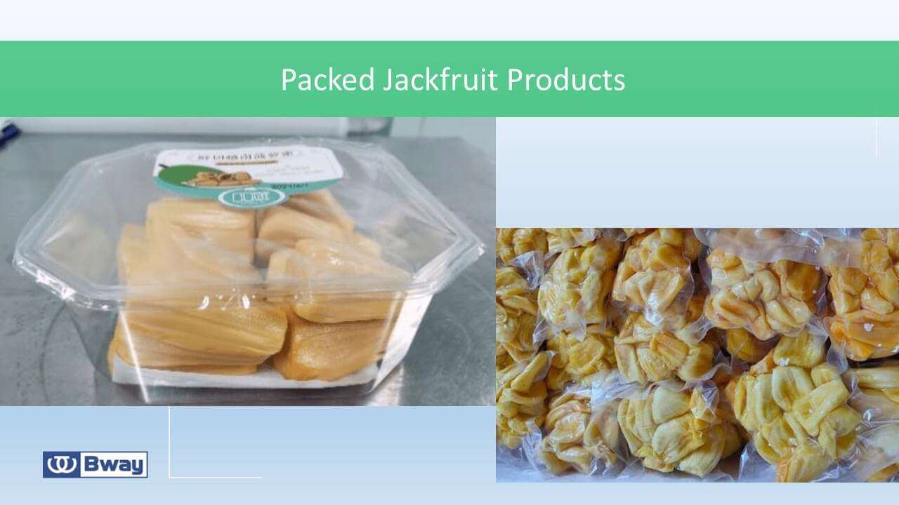 jackfruit flesh pack jackfruit flesh pack