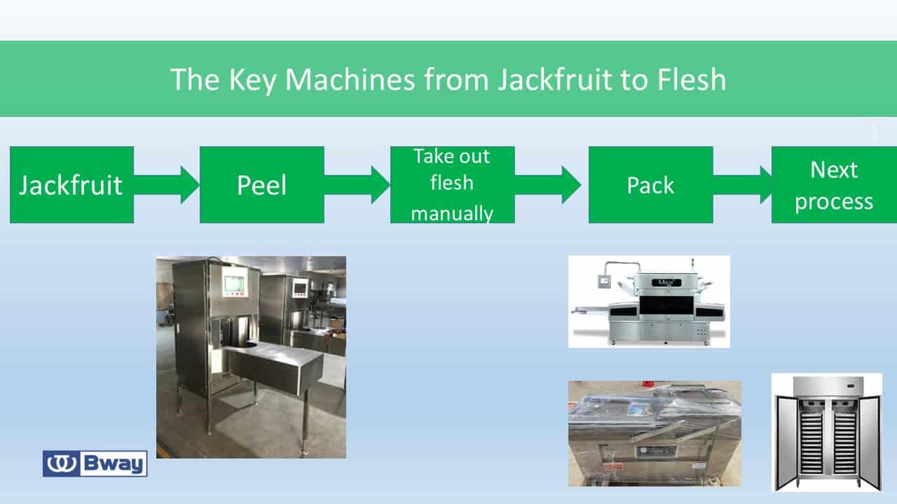 The Key Machines from Jackfruit to Flesh The Key Machines from Jackfruit to Flesh