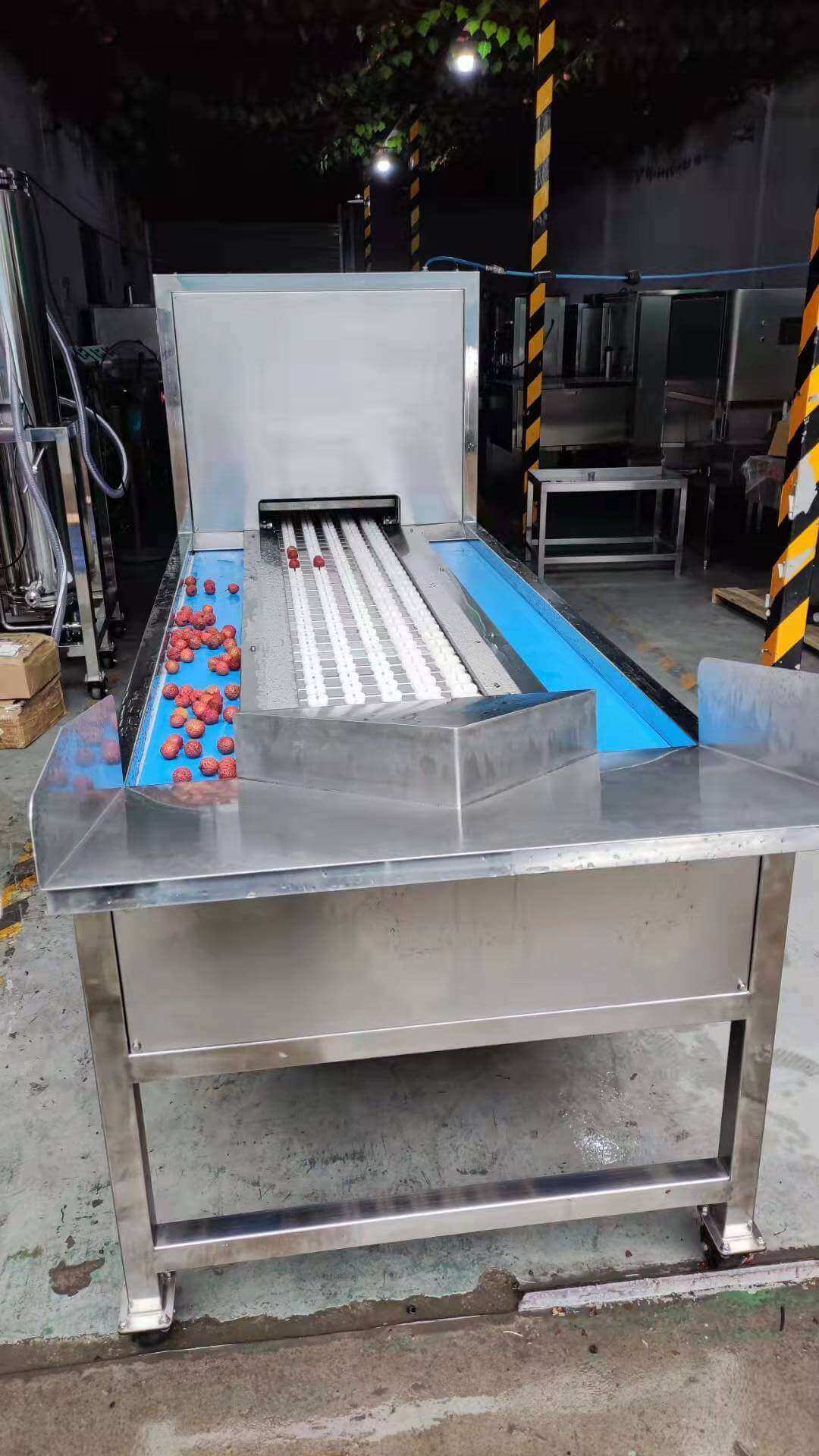 gooseberry pitting machine gooseberry pitting machine