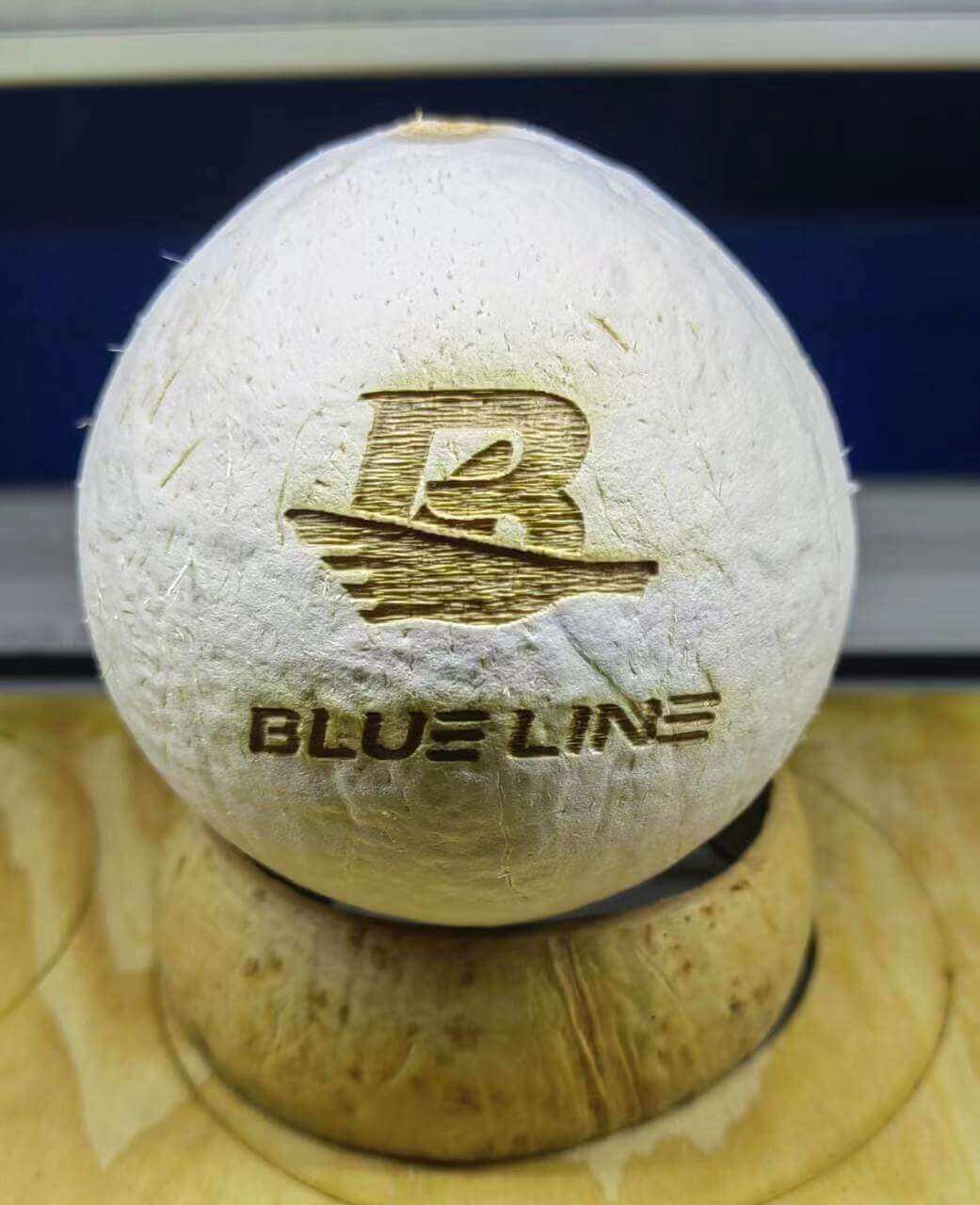 coconut with pattern by laser engraving machine