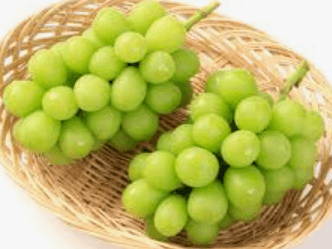 sunshine muscat