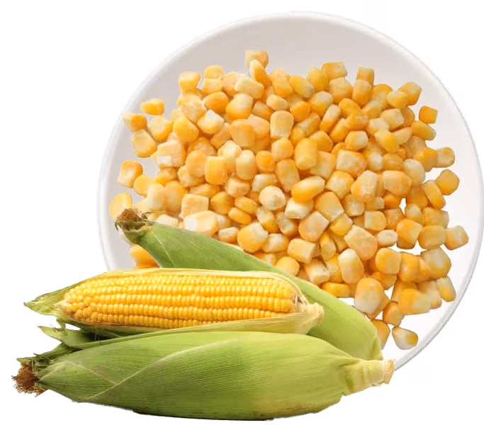 iqf-sweet-corn kernels1 iqf-sweet-corn kernels1